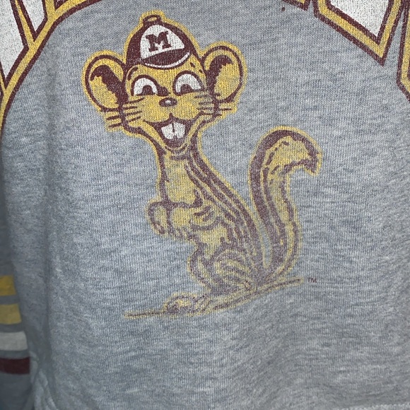 Minnesota GOPHERS HOODIE - Picture 6 of 9